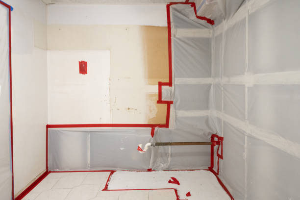 Best Basement Mold Removal  in Citrus Springs, FL