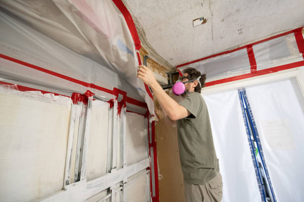Citrus Springs, FL Mold Removal Company
