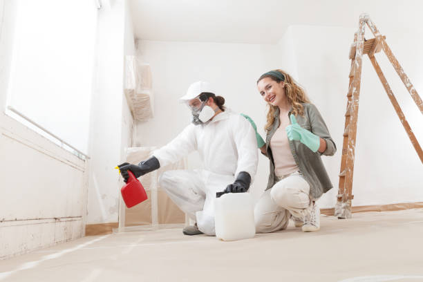 Best Mold Removal for HVAC Installations  in Citrus Springs, FL